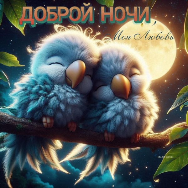 Вечер зима необычные добрый обнимашки