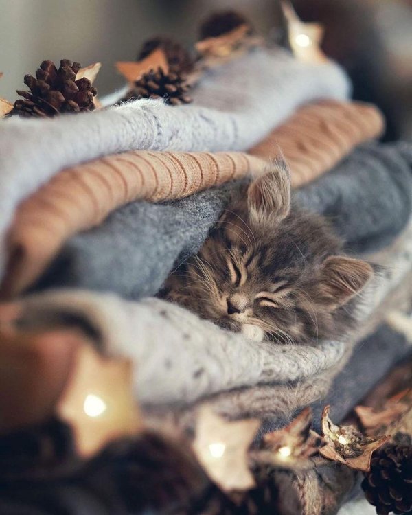 Вечер зима необычные добрый обнимашки