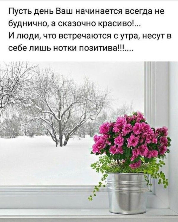 За окном зима с надписями