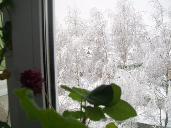 За окном зима с надписями