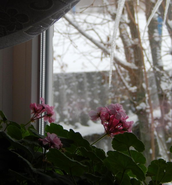 За окном зима с надписями