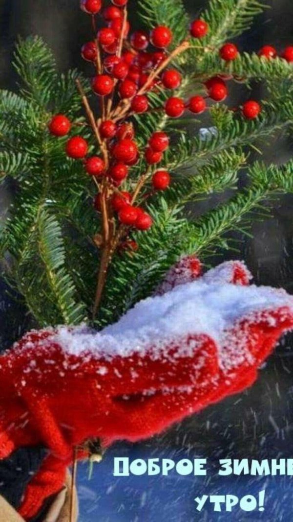 За окном зима с надписями