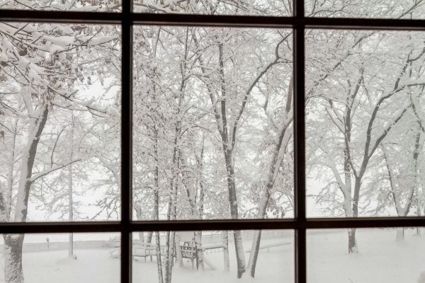 За окном зима с надписями