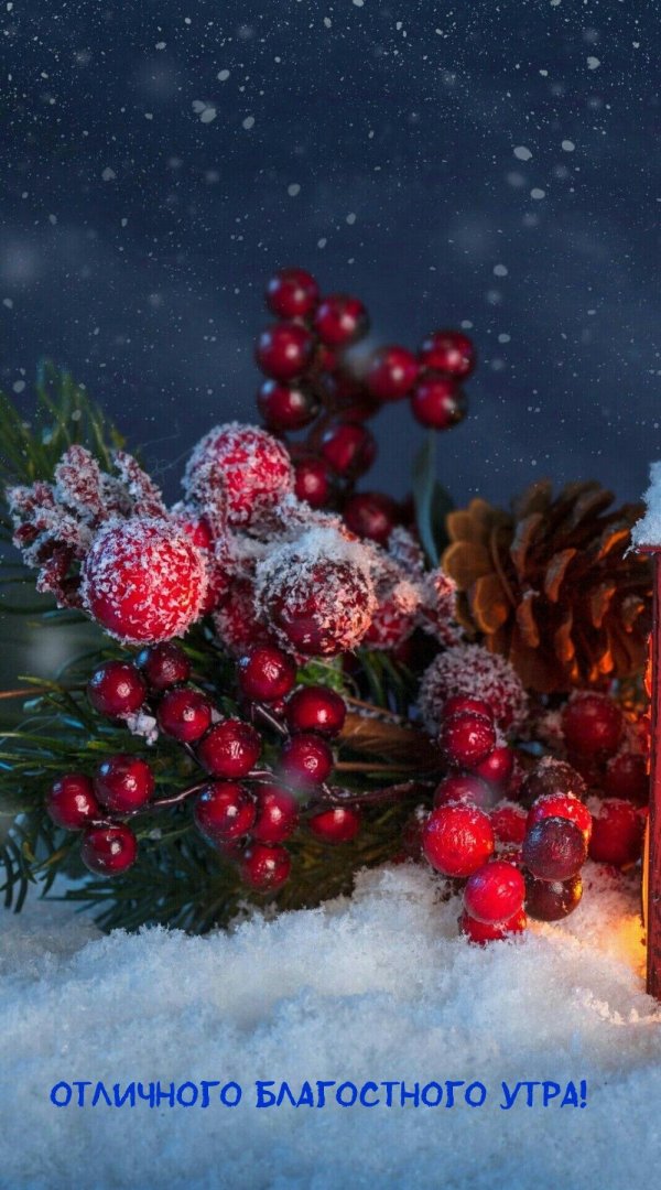 За окном зима с надписями