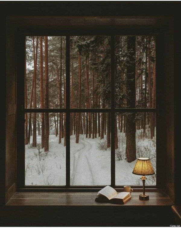 За окном зима с надписями