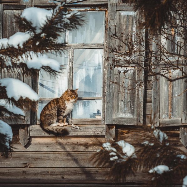 За окном зима с надписями