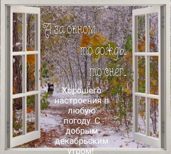 За окном зима с надписями