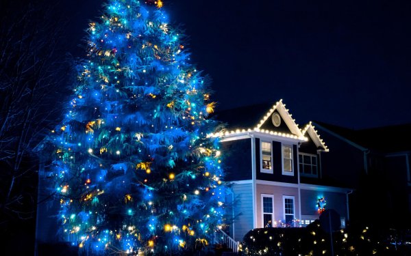 На рабочий стол зима новый год