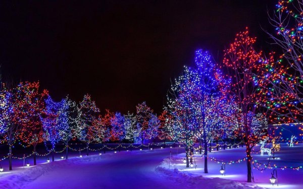 На рабочий стол зима новый год