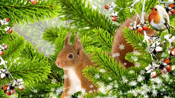 На рабочий стол зима новый год