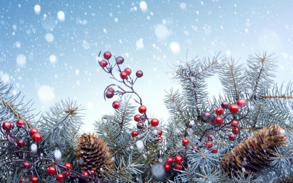 На рабочий стол зима новый год