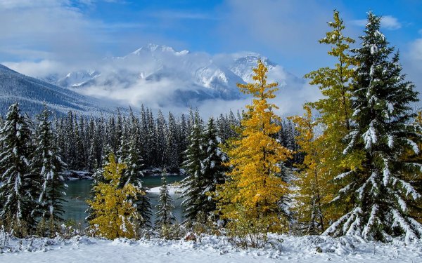 На рабочий стол осень зима на весь экран