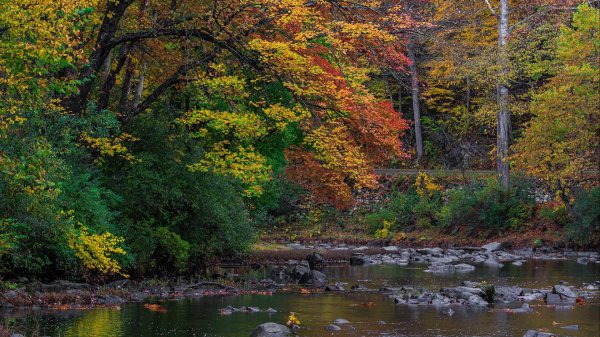 На рабочий стол осень зима на весь экран