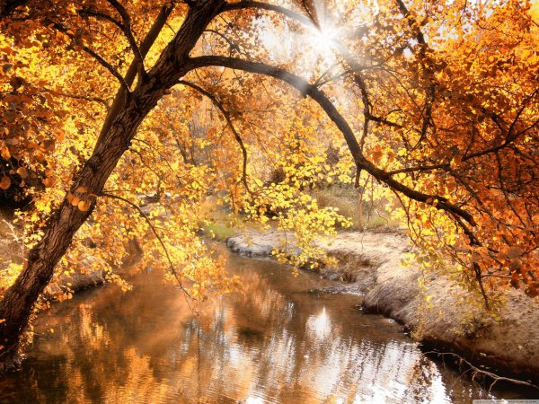 На рабочий стол осень зима на весь экран