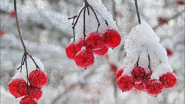 На рабочий стол осень зима на весь экран