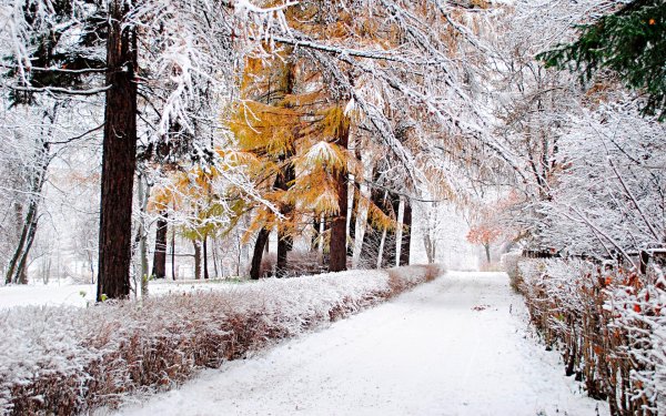На рабочий стол осень зима на весь экран