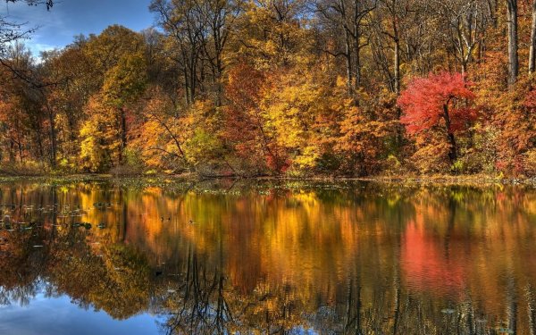 На рабочий стол осень зима на весь экран