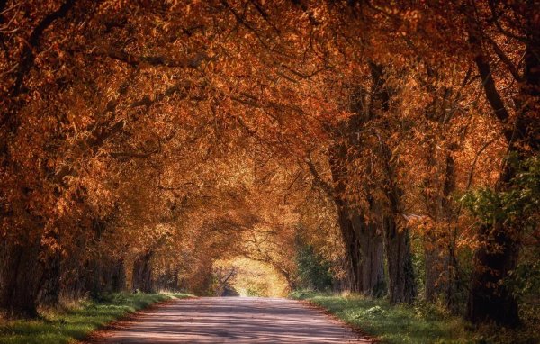 На рабочий стол осень зима на весь экран