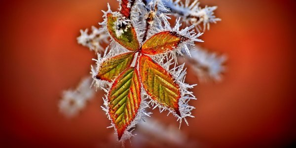 На рабочий стол осень зима на весь экран