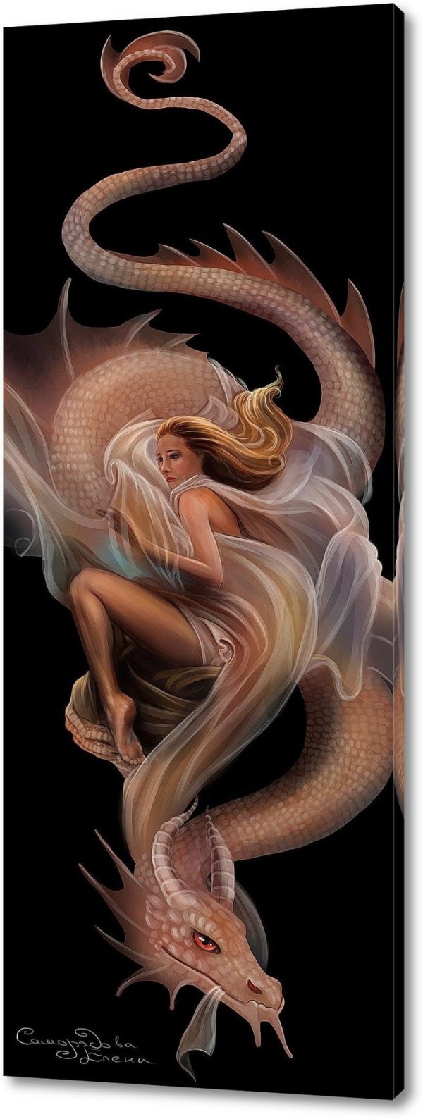 Дракон и девушка