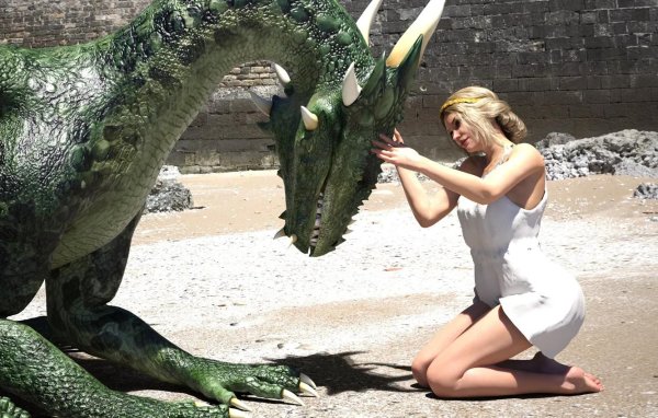 Дракон и девушка