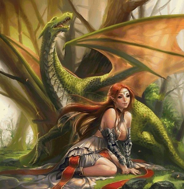 Дракон и девушка