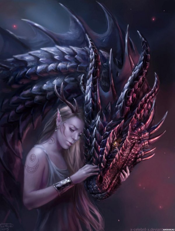 Дракон и девушка