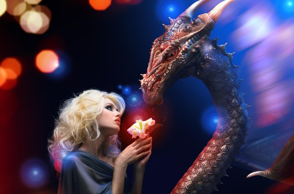 Дракон и девушка