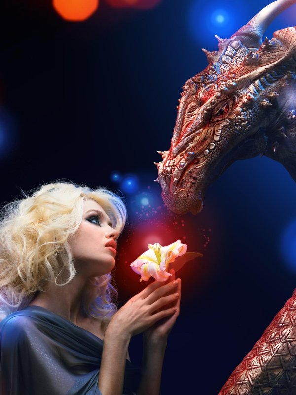 Дракон и девушка
