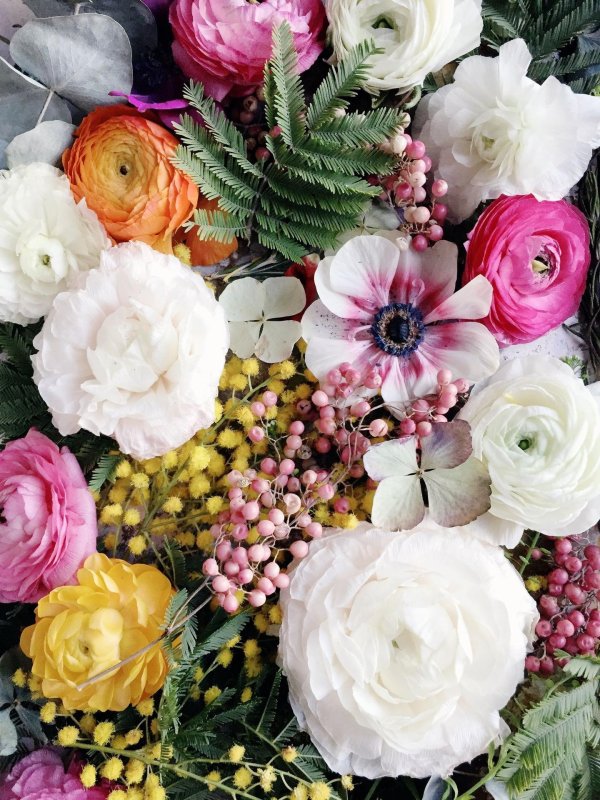 ранункулюс лютик вайт