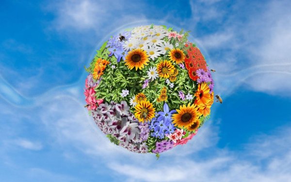 цветущая планета