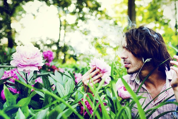 запах цветов