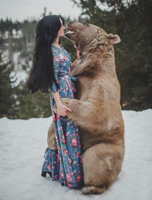 Девушка и медведь