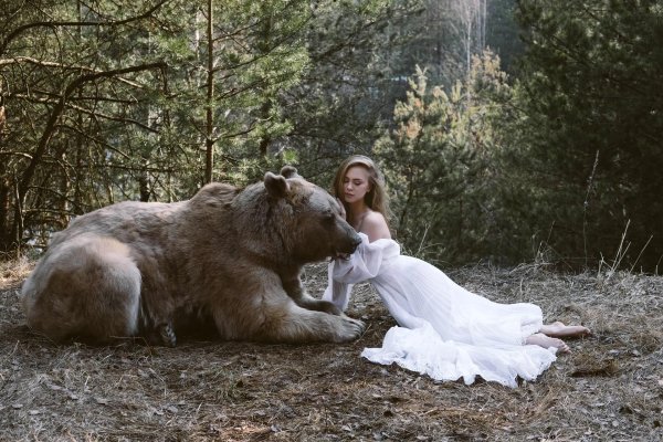 Девушка и медведь