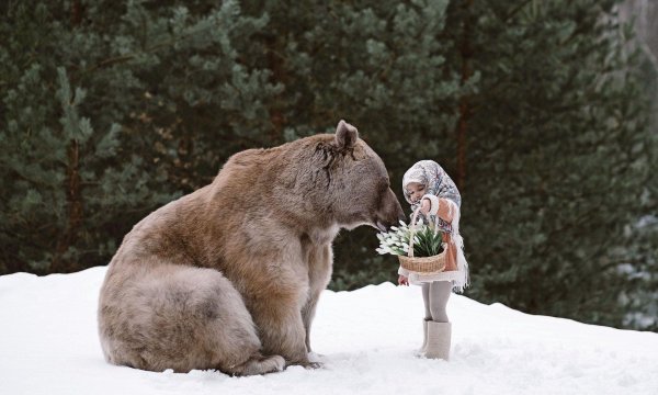 Девушка и медведь