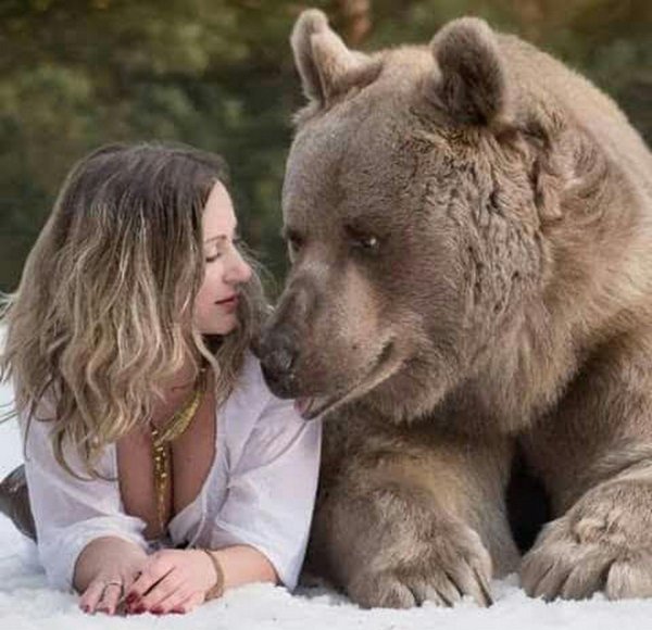 Девушка и медведь