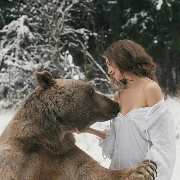 Девушка и медведь