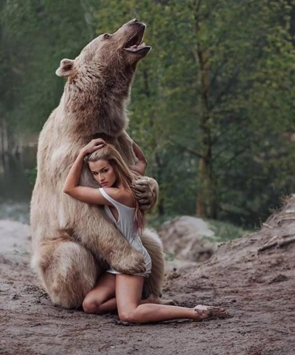 Девушка и медведь