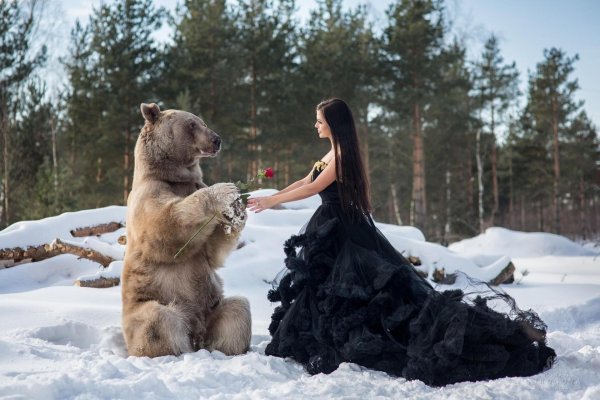 Девушка и медведь