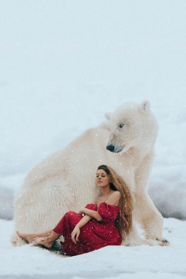 Девушка и медведь