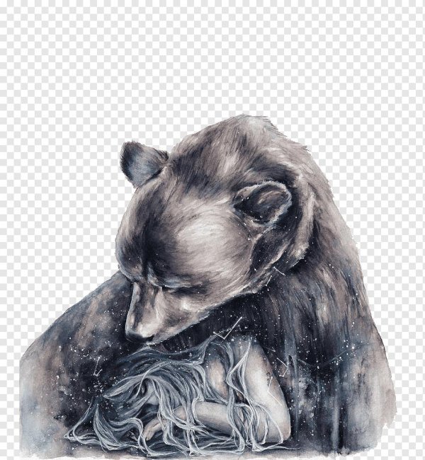 Девушка и медведь