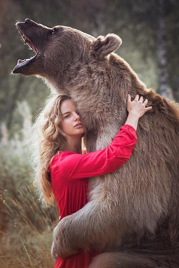 Девушка и медведь