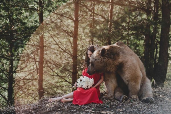 Девушка и медведь