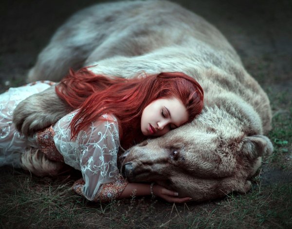 Девушка и медведь