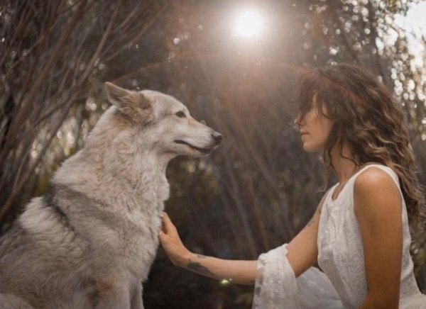 Волк и девушка