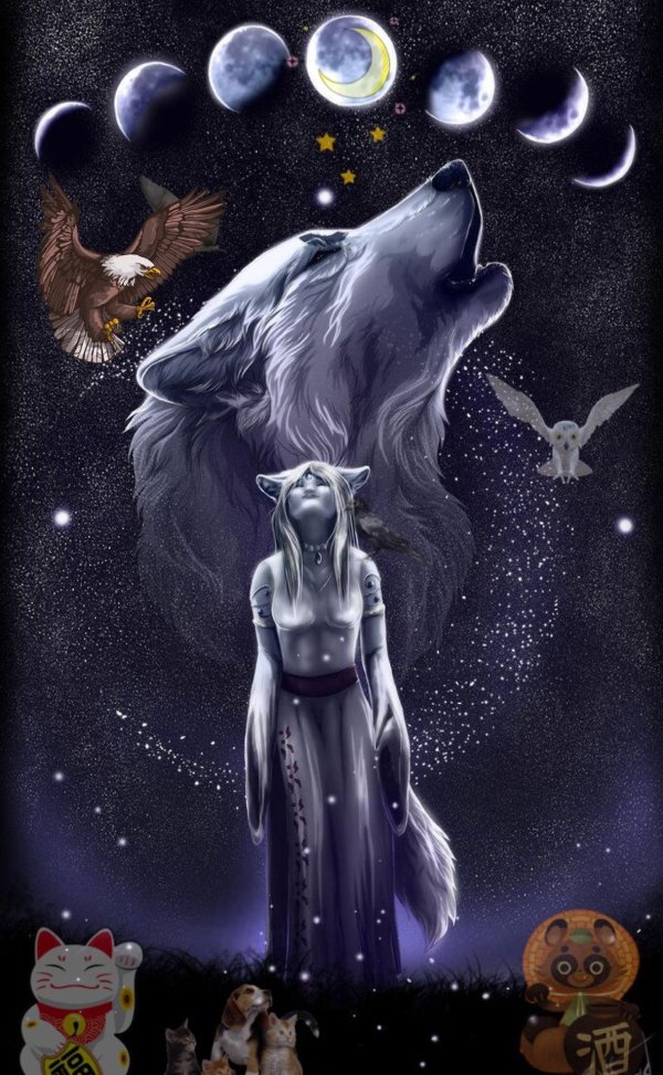 Волк и девушка