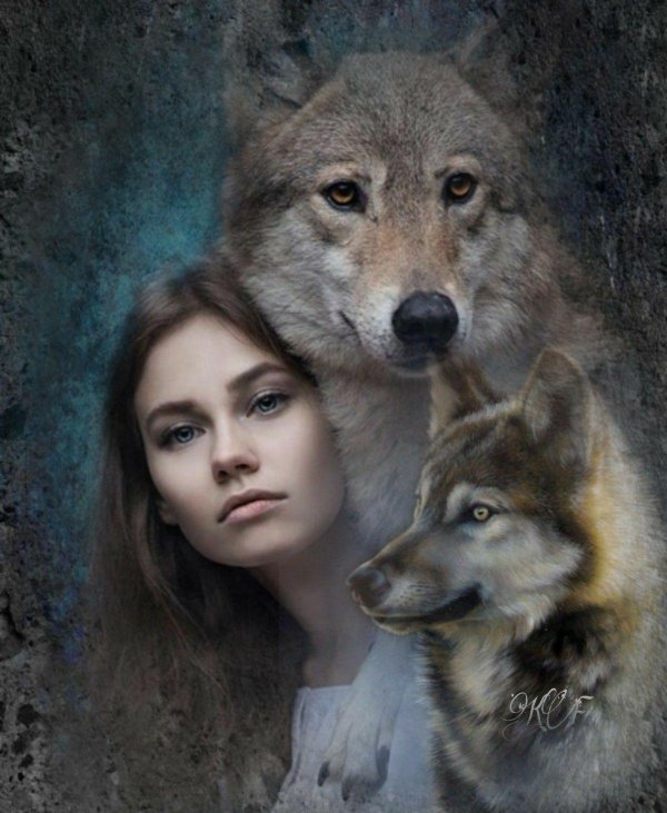 Волк и девушка