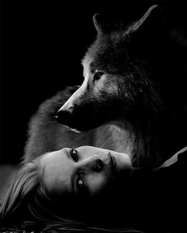 Волк и девушка