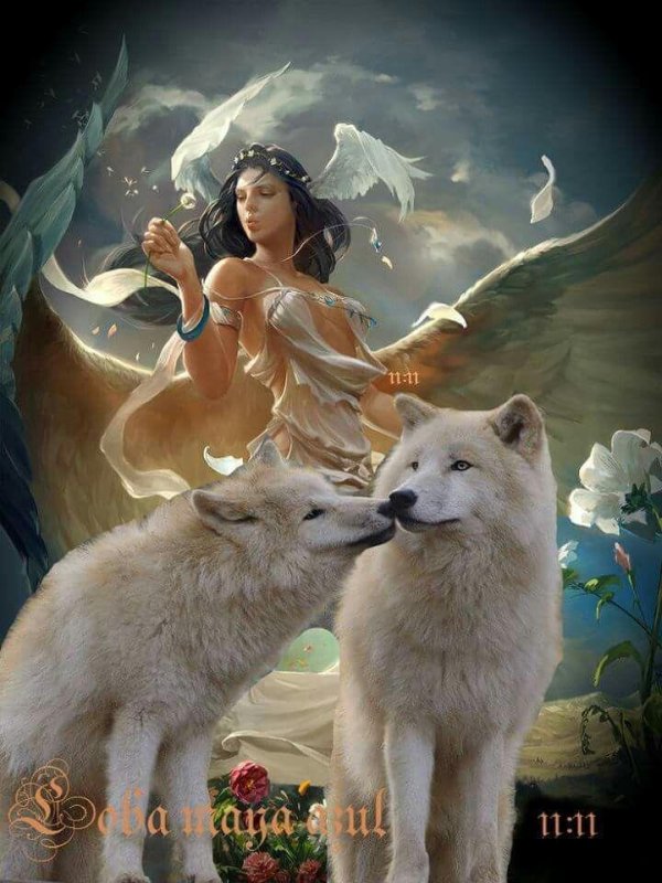 Волк и девушка