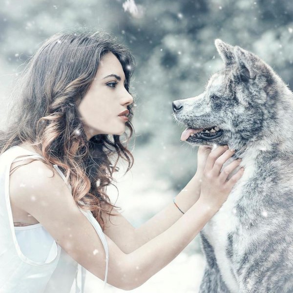 Волк и девушка